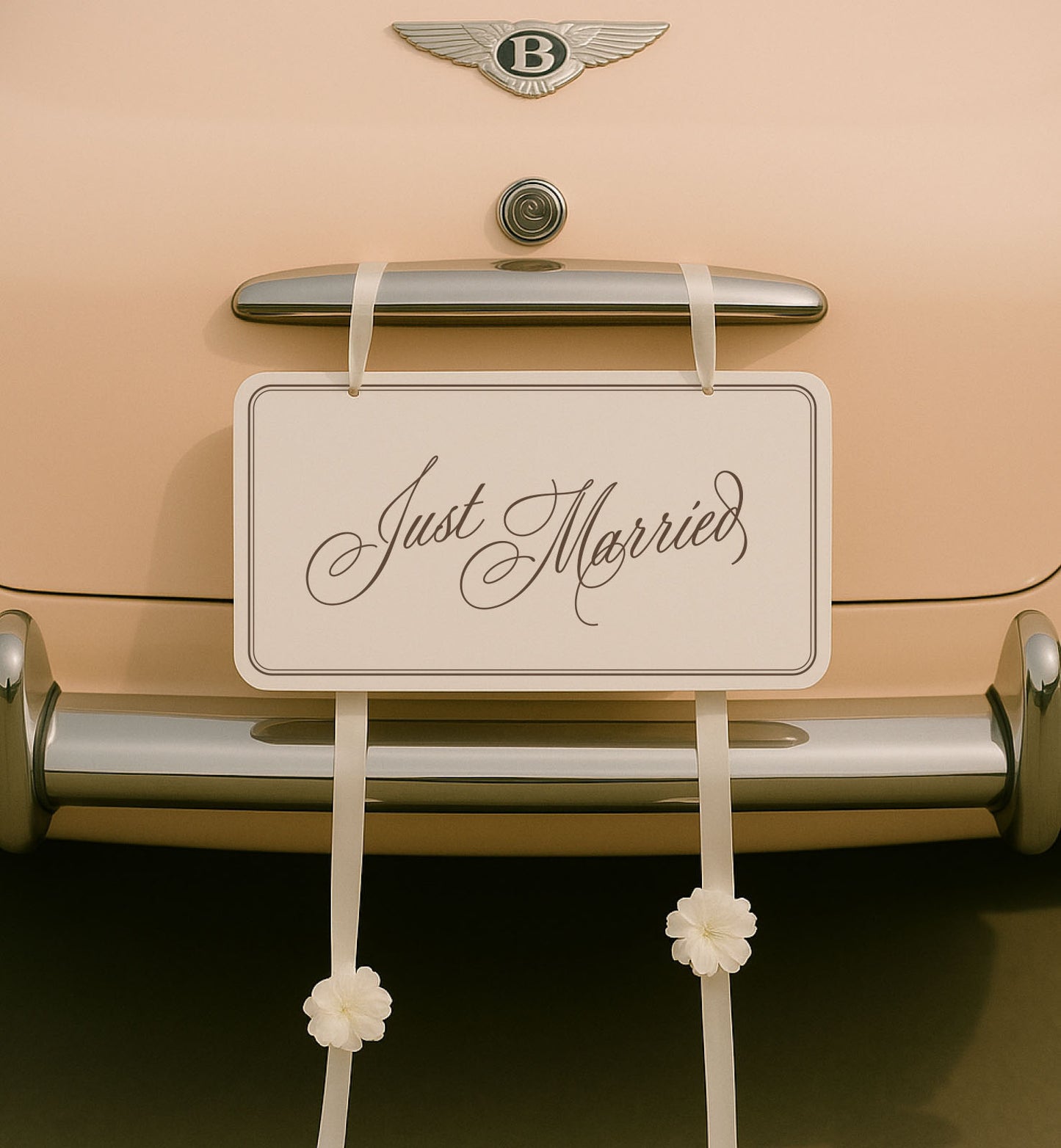 Just Married Sign
